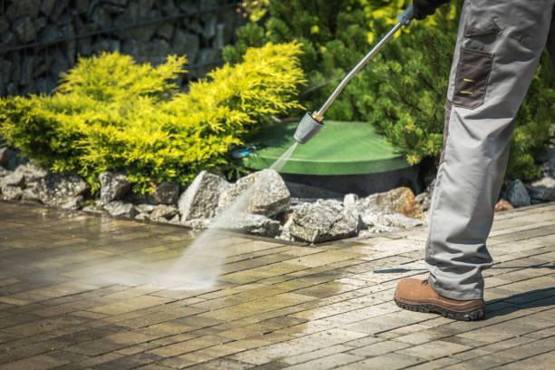 Best Roof Washing  in Olcott, NY